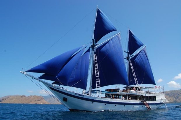 Online bestellen: Cruise Ombak Putih of Katharina: 8 dagen varanen, walvishaaien & koraal - Bali - Komodo
