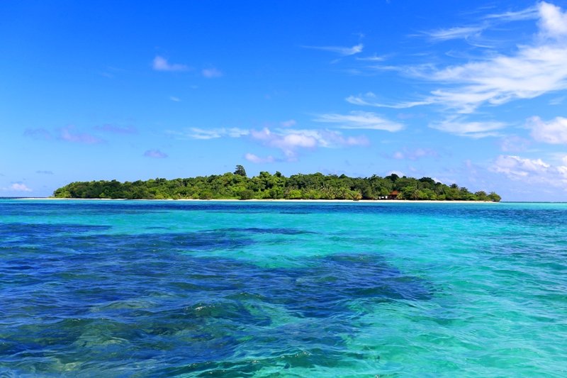 Online bestellen: Bouwsteen 5 dagen snorkelen in de Derawan archipel