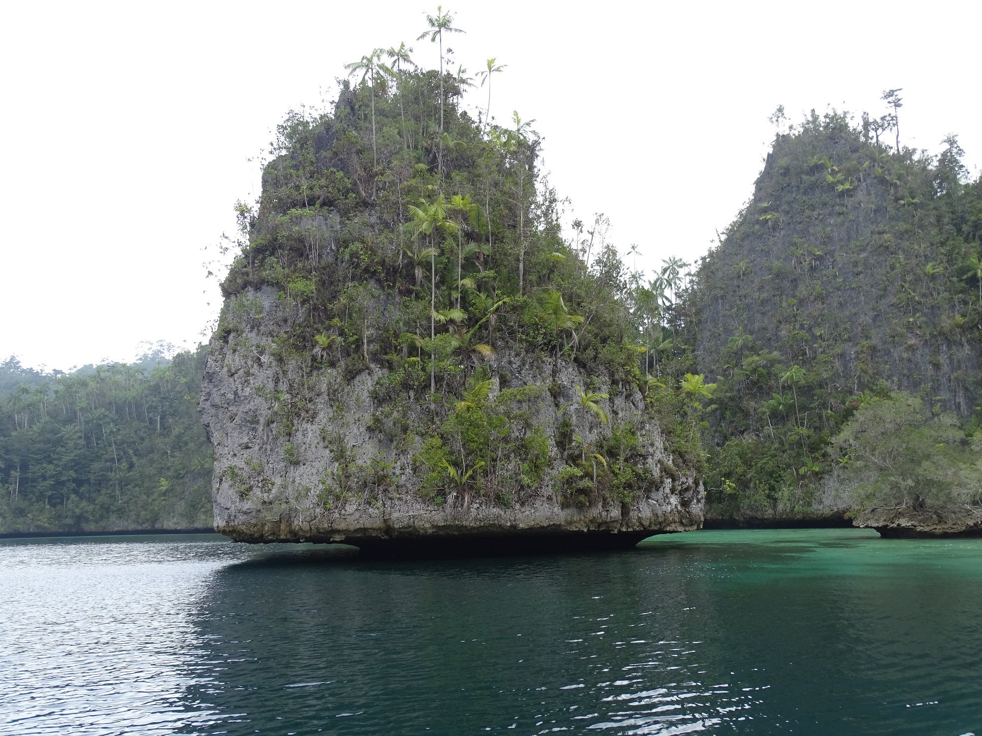 Online bestellen: Bouwsteen 6 dagen Avontuurlijk Papua - Kaimana en Triton Bay