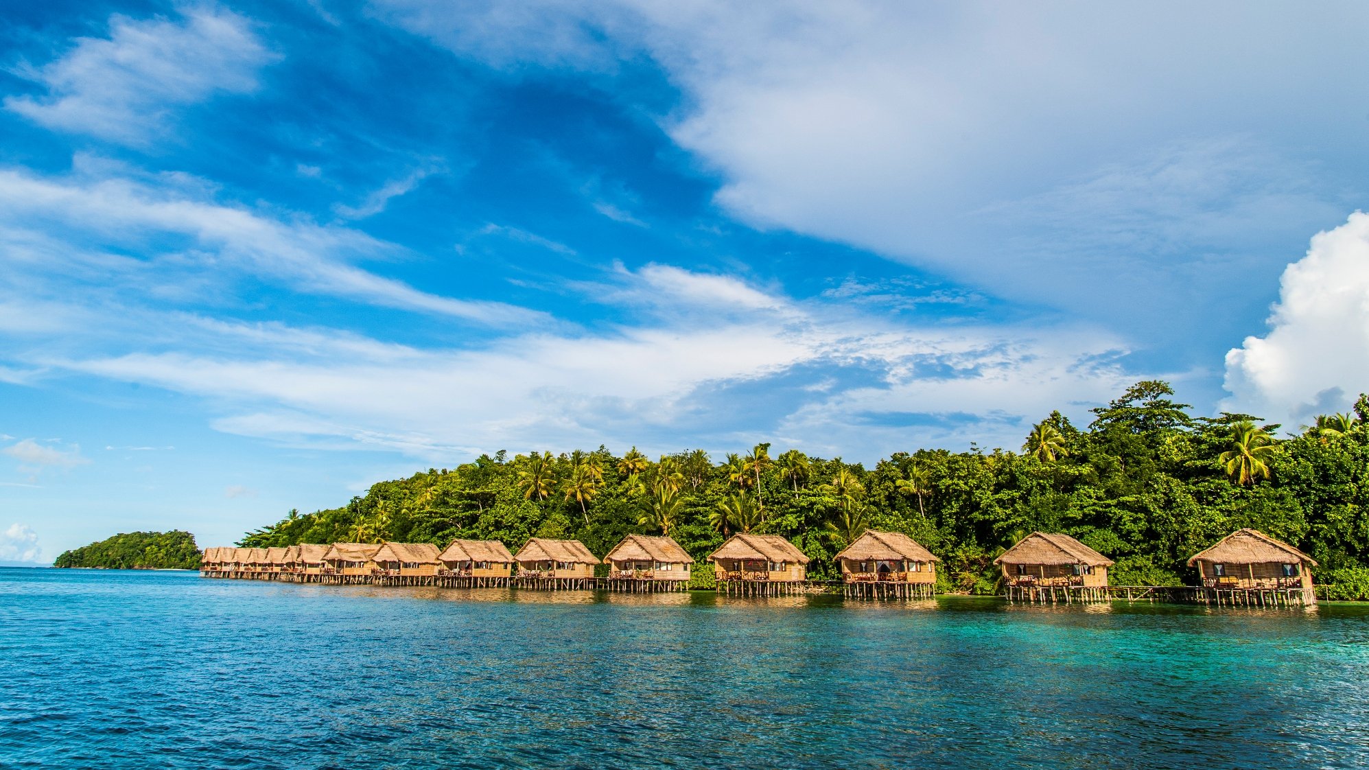 Online bestellen: Bouwsteen 8 dagen duiken Papua Paradise - Raja Ampat
