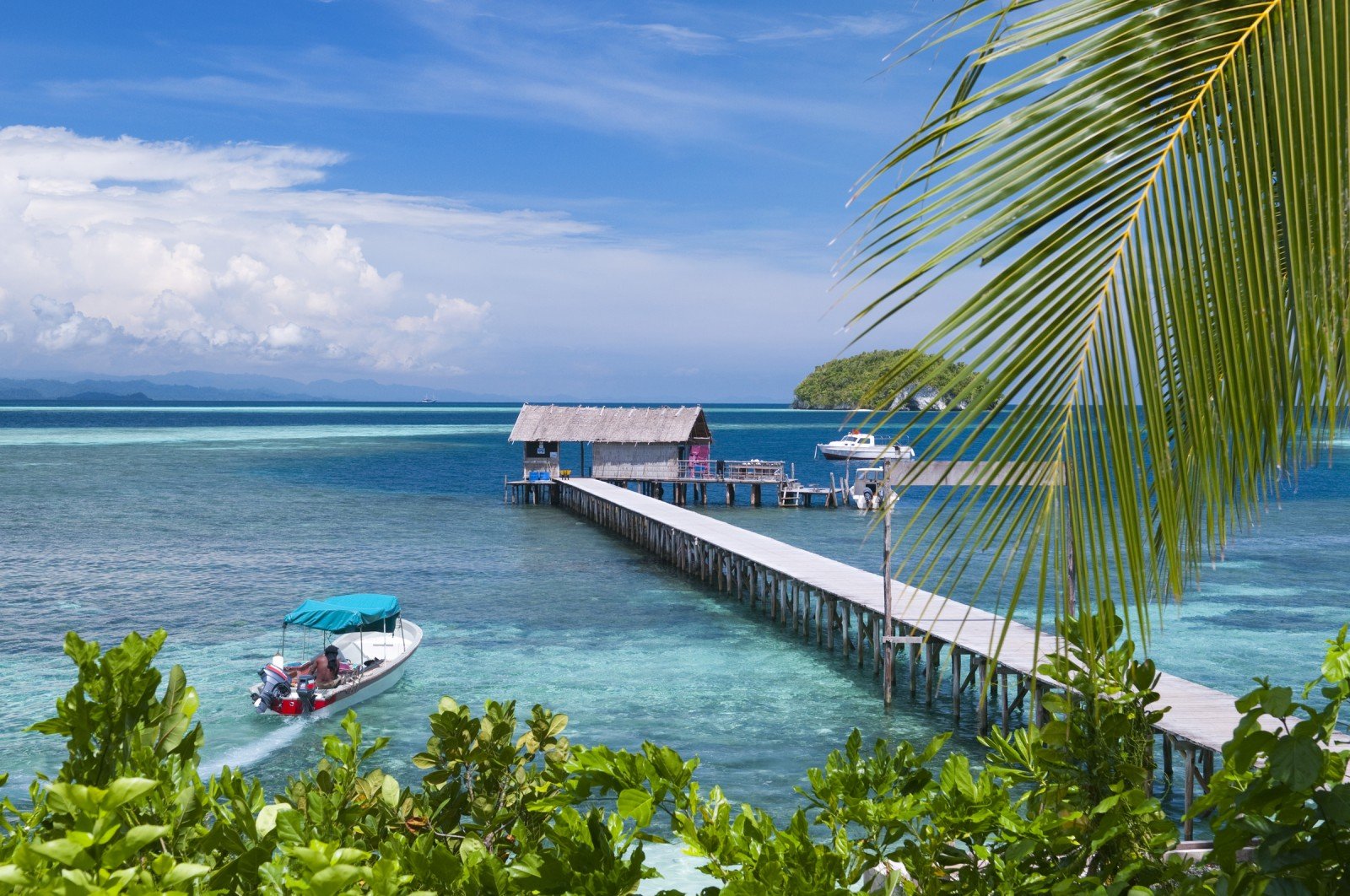 Online bestellen: Bouwsteen 8 dagen duiken Sorido Bay - Raja Ampat