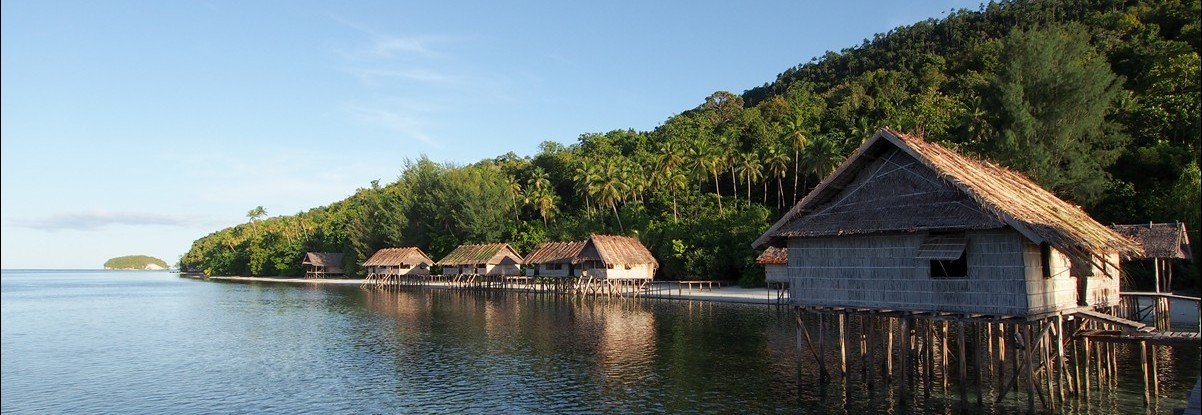 Online bestellen: Bouwsteen 8 dagen duiken Kri Eco resort - Raja Ampat