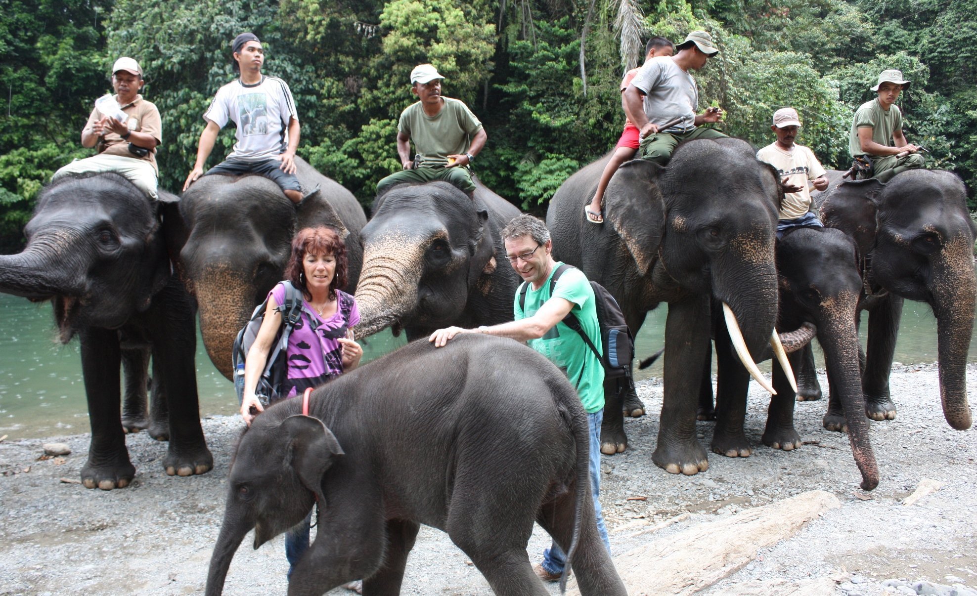 Online bestellen: Bouwsteen 8 dagen jungletrek noord Sumatra