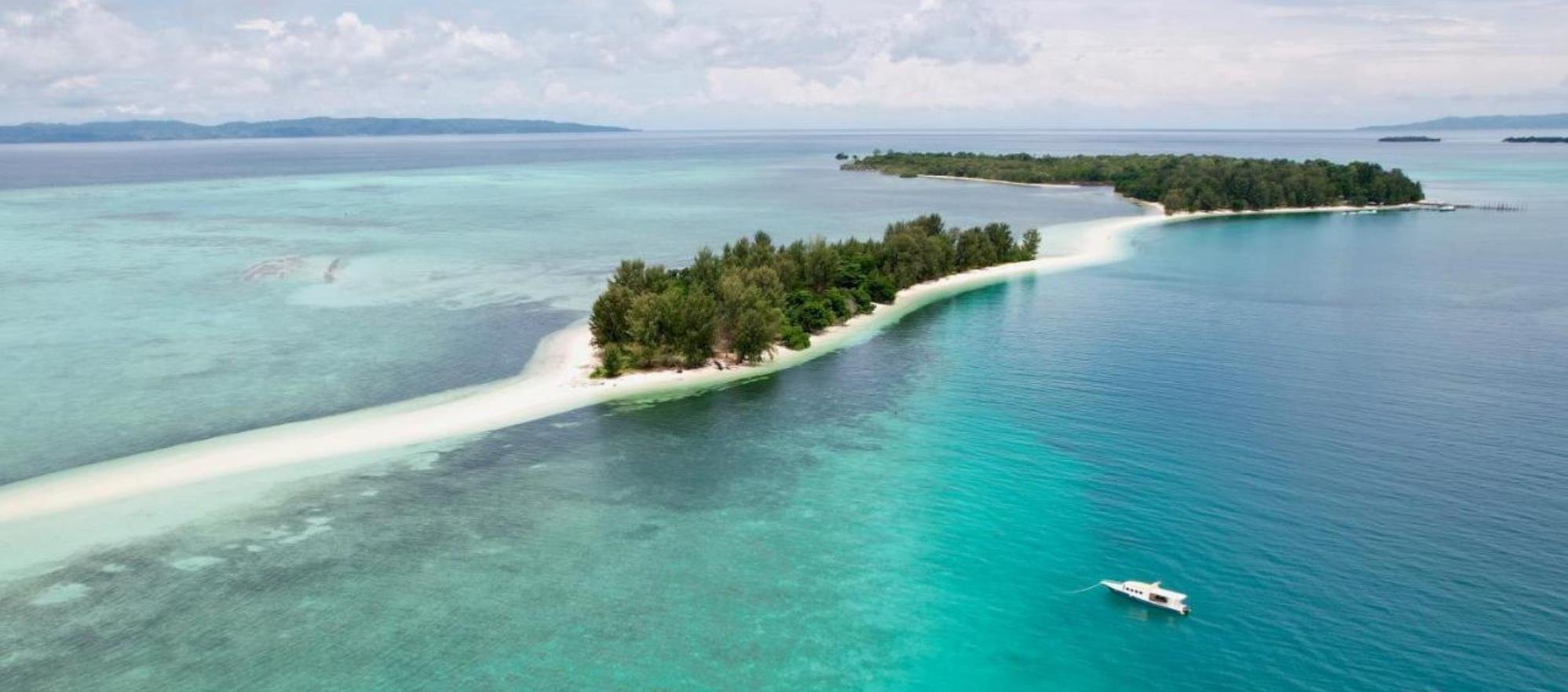 Online bestellen: Bouwsteen 8 dagen duiken Metita Beach & Dive resort - Morotai